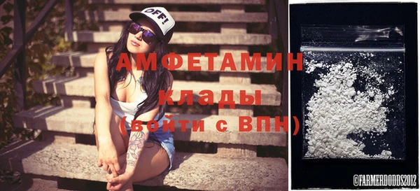 шишки Сатка