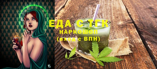 шишки Сатка