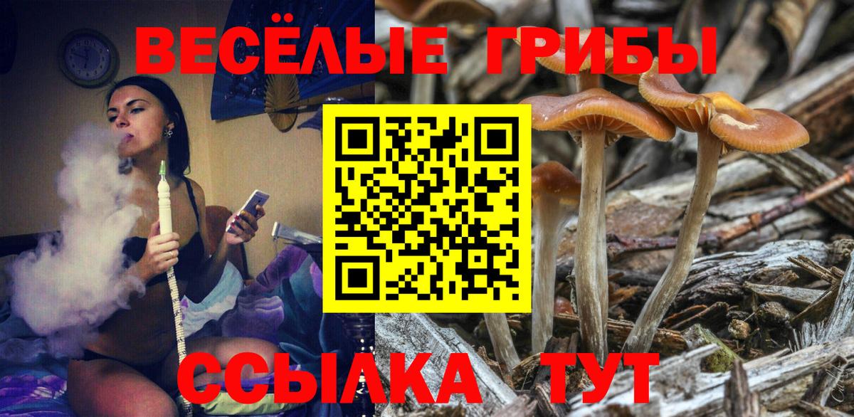Борисоглебск  Галлюциногенные грибы GOLDEN TEACHER  Псилоцибиновые грибы GOLDEN TEACHER  Вход с VPN 